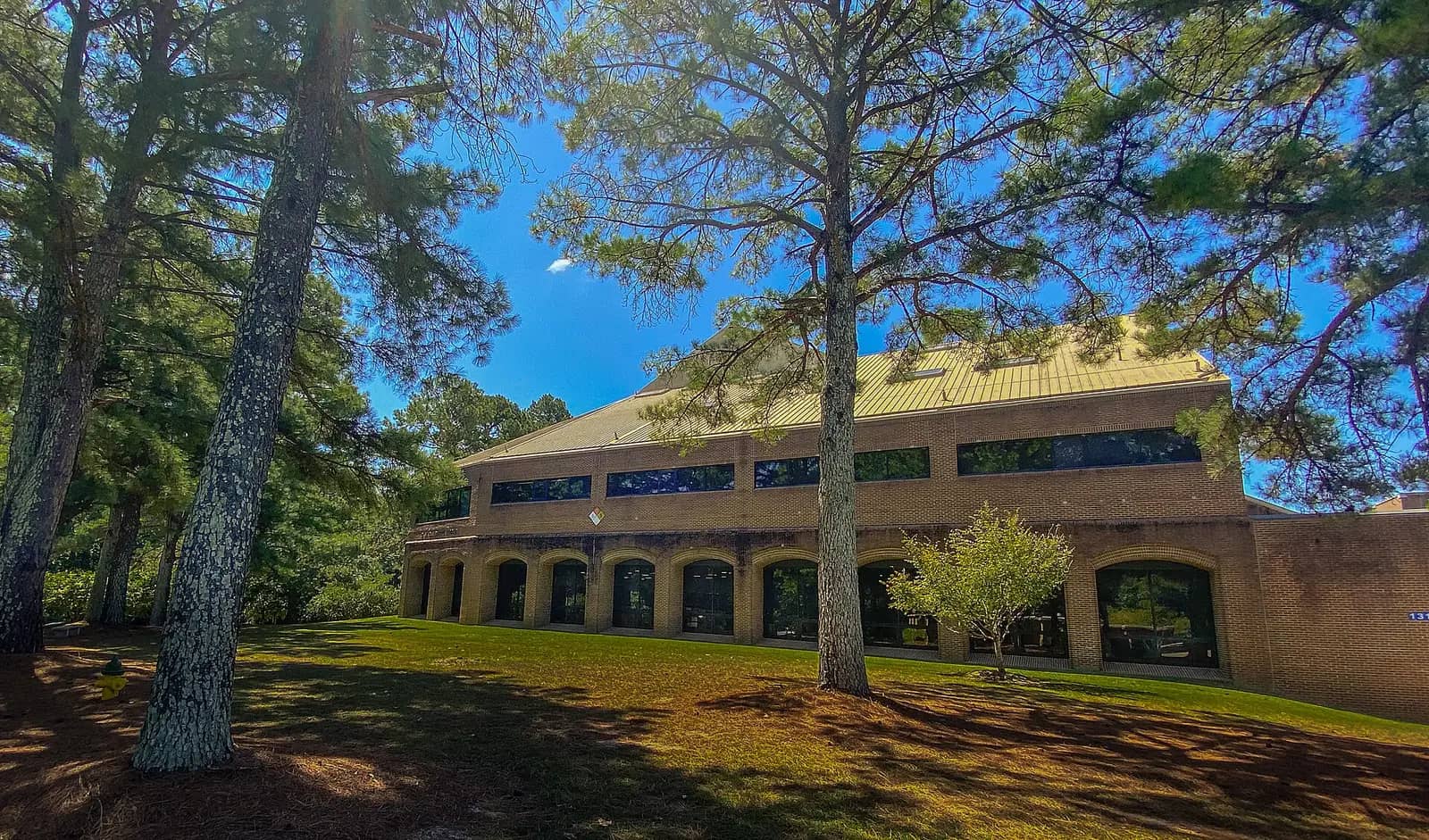 Fayetteville State University campus — The Charles W. Chesnutt Library on the campus of FSU, NC
